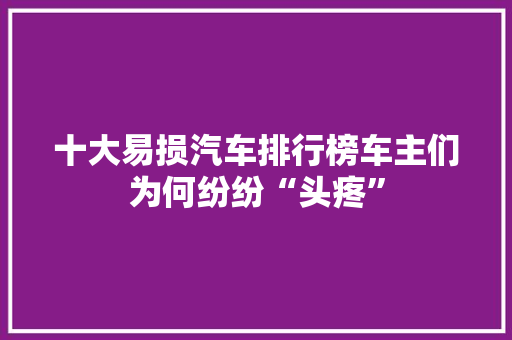 十大易损汽车排行榜车主们为何纷纷“头疼”