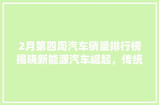 2月第四周汽车销量排行榜揭晓新能源汽车崛起，传统车企面临挑战