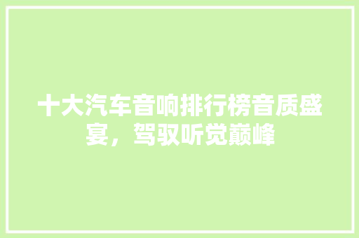 十大汽车音响排行榜音质盛宴，驾驭听觉巅峰
