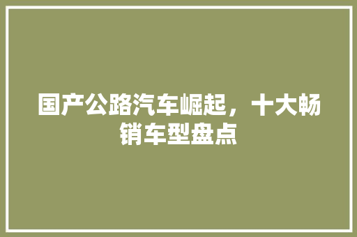 国产公路汽车崛起，十大畅销车型盘点