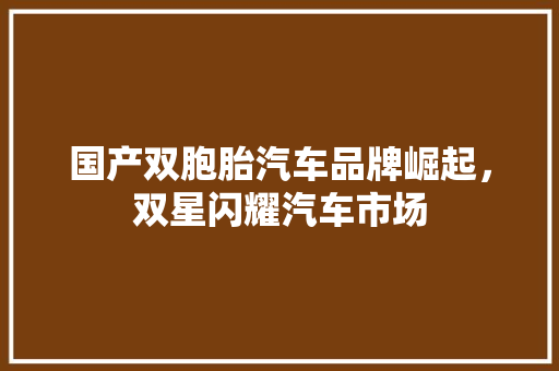 国产双胞胎汽车品牌崛起，双星闪耀汽车市场
