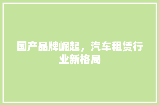 国产品牌崛起，汽车租赁行业新格局