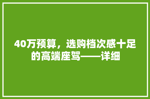 40万预算，选购档次感十足的高端座驾——详细