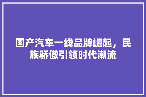 国产汽车一线品牌崛起，民族骄傲引领时代潮流