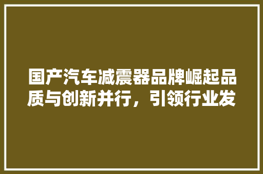 国产汽车减震器品牌崛起品质与创新并行，引领行业发展新风向