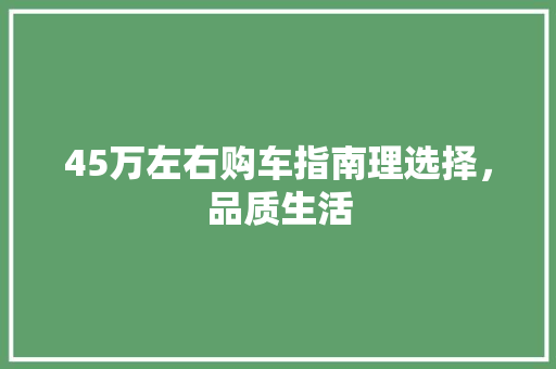 45万左右购车指南理选择，品质生活