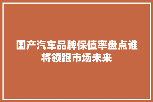 国产汽车品牌保值率盘点谁将领跑市场未来