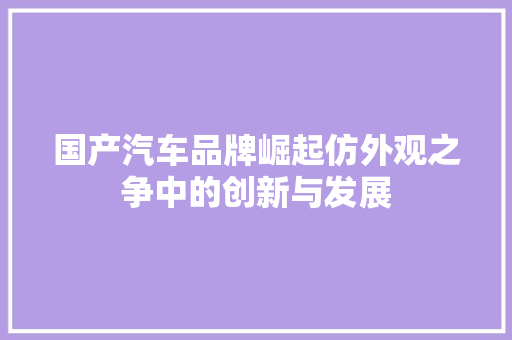 国产汽车品牌崛起仿外观之争中的创新与发展