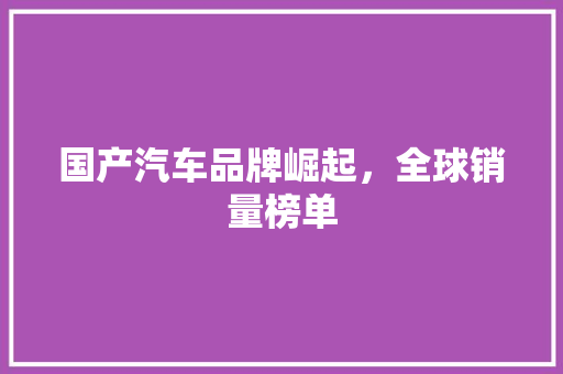 国产汽车品牌崛起，全球销量榜单