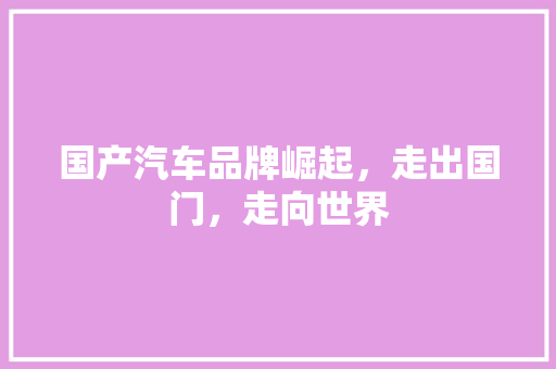 国产汽车品牌崛起，走出国门，走向世界