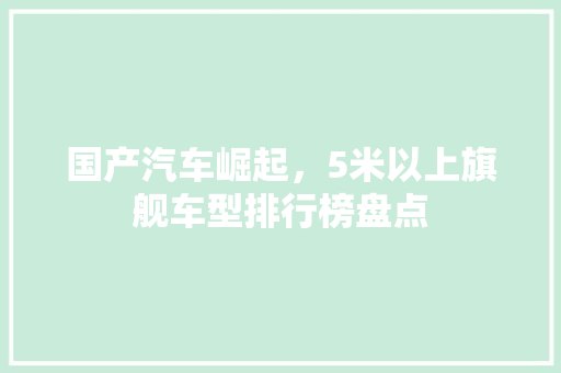 国产汽车崛起，5米以上旗舰车型排行榜盘点