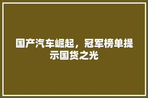 国产汽车崛起，冠军榜单提示国货之光
