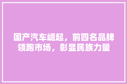 国产汽车崛起，前四名品牌领跑市场，彰显民族力量