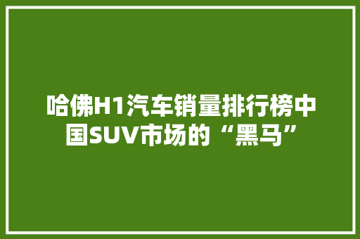 哈佛H1汽车销量排行榜中国SUV市场的“黑马”