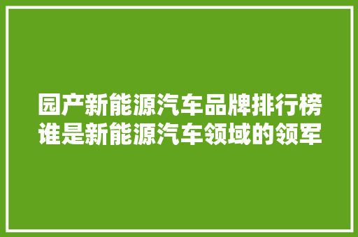 园产新能源汽车品牌排行榜谁是新能源汽车领域的领军者