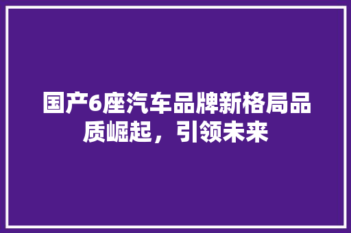 国产6座汽车品牌新格局品质崛起，引领未来