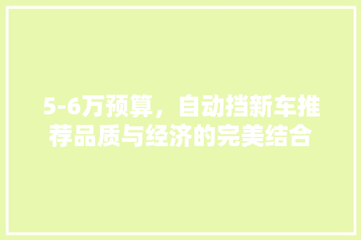 5-6万预算，自动挡新车推荐品质与经济的完美结合