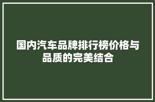 国内汽车品牌排行榜价格与品质的完美结合