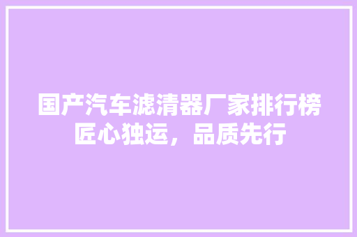 国产汽车滤清器厂家排行榜匠心独运，品质先行