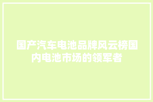 国产汽车电池品牌风云榜国内电池市场的领军者