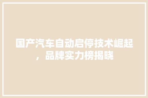 国产汽车自动启停技术崛起，品牌实力榜揭晓