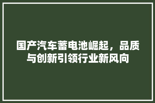 国产汽车蓄电池崛起，品质与创新引领行业新风向