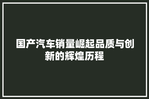 国产汽车销量崛起品质与创新的辉煌历程