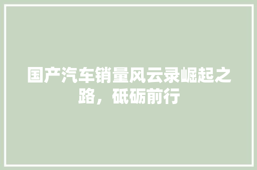 国产汽车销量风云录崛起之路，砥砺前行