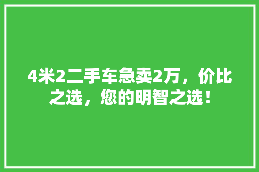 4米2二手车急卖2万，价比之选，您的明智之选！