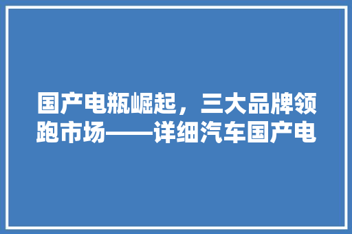 国产电瓶崛起，三大品牌领跑市场——详细汽车国产电瓶排行榜前三名