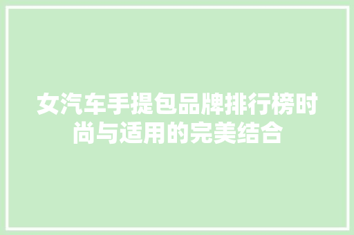 女汽车手提包品牌排行榜时尚与适用的完美结合