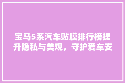 宝马5系汽车贴膜排行榜提升隐私与美观，守护爱车安全与舒适