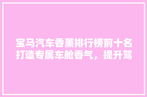 宝马汽车香薰排行榜前十名打造专属车舱香气，提升驾驶品质