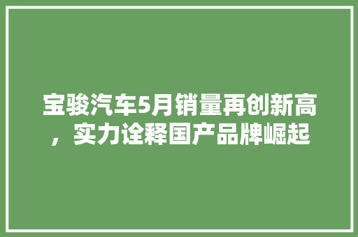 宝骏汽车5月销量再创新高，实力诠释国产品牌崛起