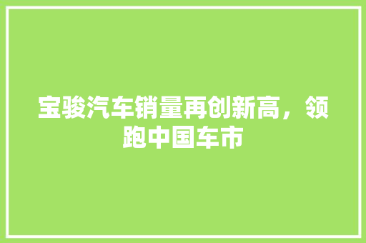 宝骏汽车销量再创新高，领跑中国车市