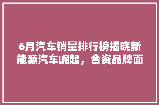 6月汽车销量排行榜揭晓新能源汽车崛起，合资品牌面临挑战