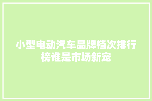 小型电动汽车品牌档次排行榜谁是市场新宠
