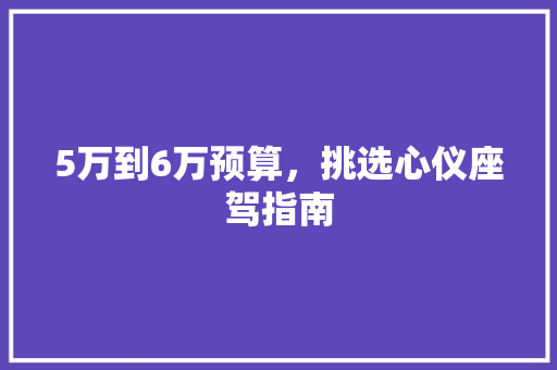 5万到6万预算，挑选心仪座驾指南