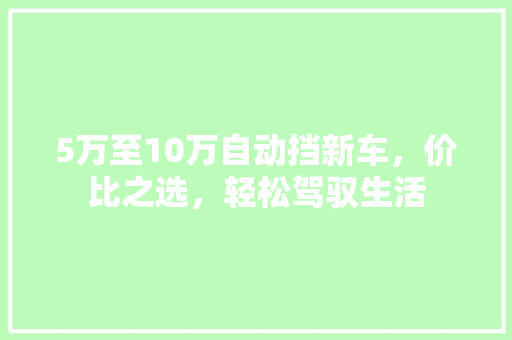 5万至10万自动挡新车，价比之选，轻松驾驭生活