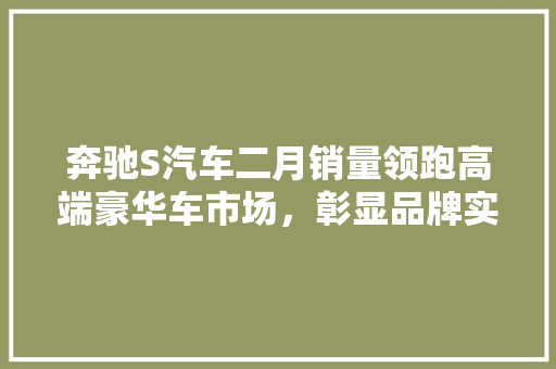 奔驰S汽车二月销量领跑高端豪华车市场，彰显品牌实力