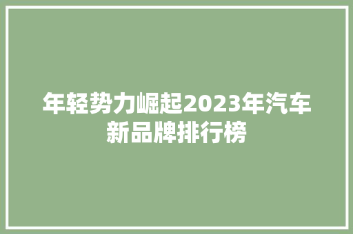 年轻势力崛起2023年汽车新品牌排行榜