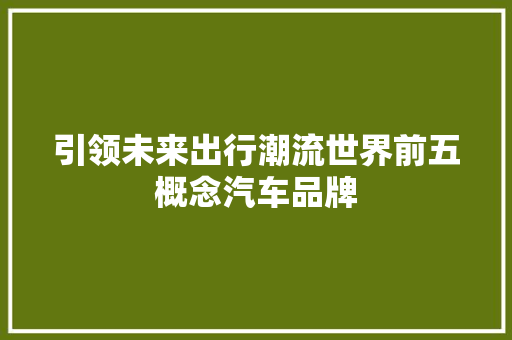 引领未来出行潮流世界前五概念汽车品牌