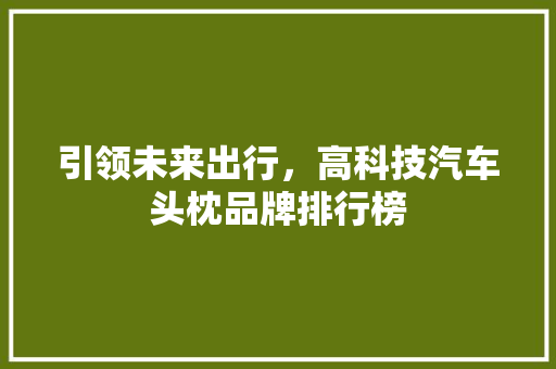 引领未来出行，高科技汽车头枕品牌排行榜