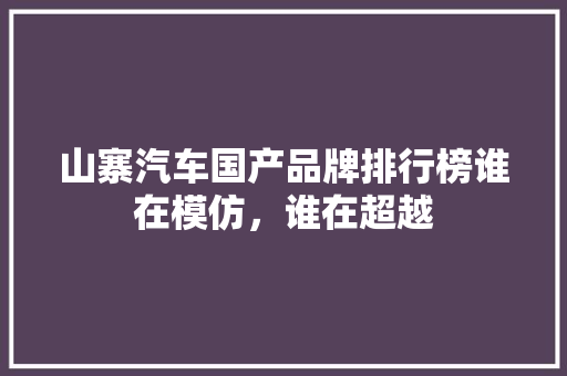 山寨汽车国产品牌排行榜谁在模仿，谁在超越