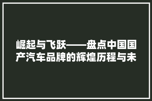 崛起与飞跃——盘点中国国产汽车品牌的辉煌历程与未来展望