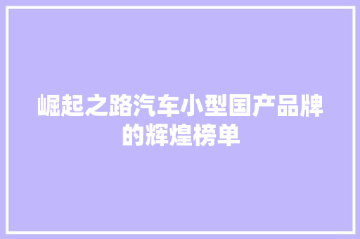 崛起之路汽车小型国产品牌的辉煌榜单