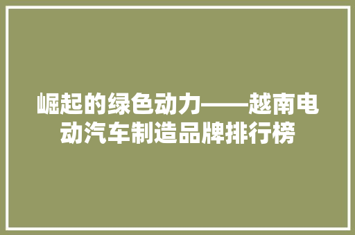 崛起的绿色动力——越南电动汽车制造品牌排行榜