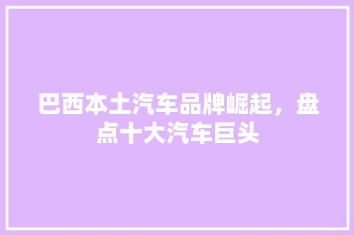 巴西本土汽车品牌崛起，盘点十大汽车巨头
