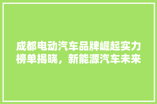 成都电动汽车品牌崛起实力榜单揭晓，新能源汽车未来之星闪耀蓉城