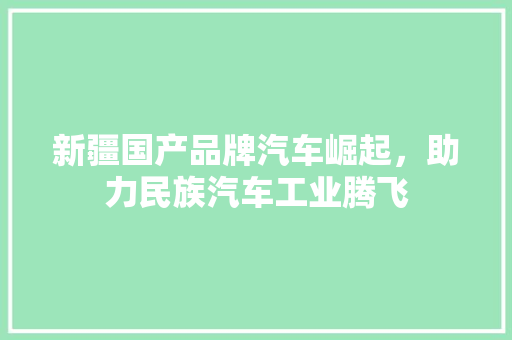 新疆国产品牌汽车崛起，助力民族汽车工业腾飞